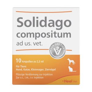 Solidago compositum ad us. vet.