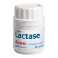 Lactase 6.000 FCC Kapseln