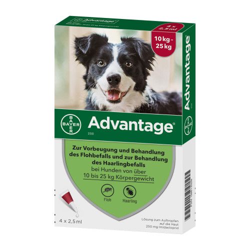 Advantage 250 Hund 4 St Advantage Bayervital Tiergesundheit