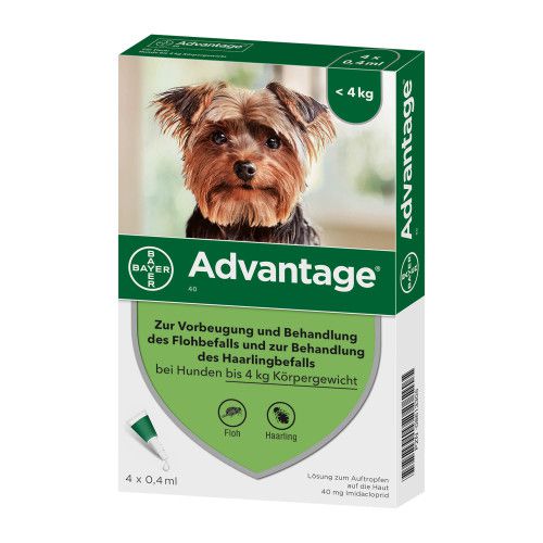 Advantage 40 Hund 4 St Advantage Bayervital Tiergesundheit Marken